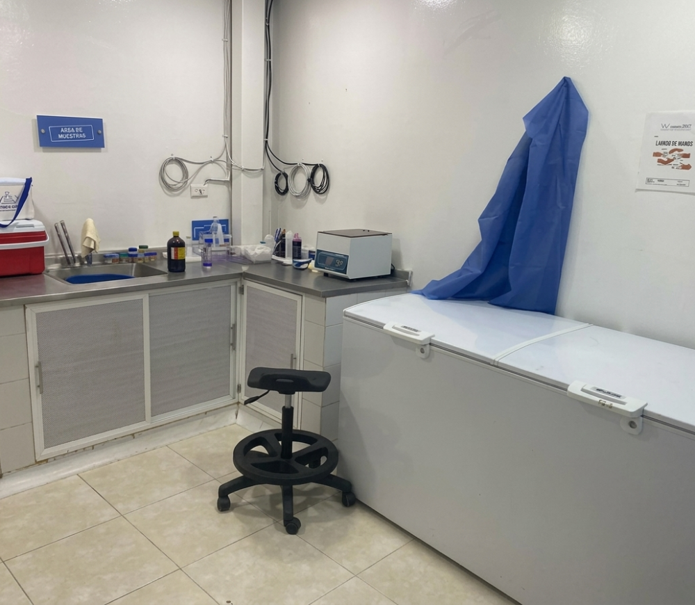 Gemini_Generated_Image_oba7jzoba7jzoba7